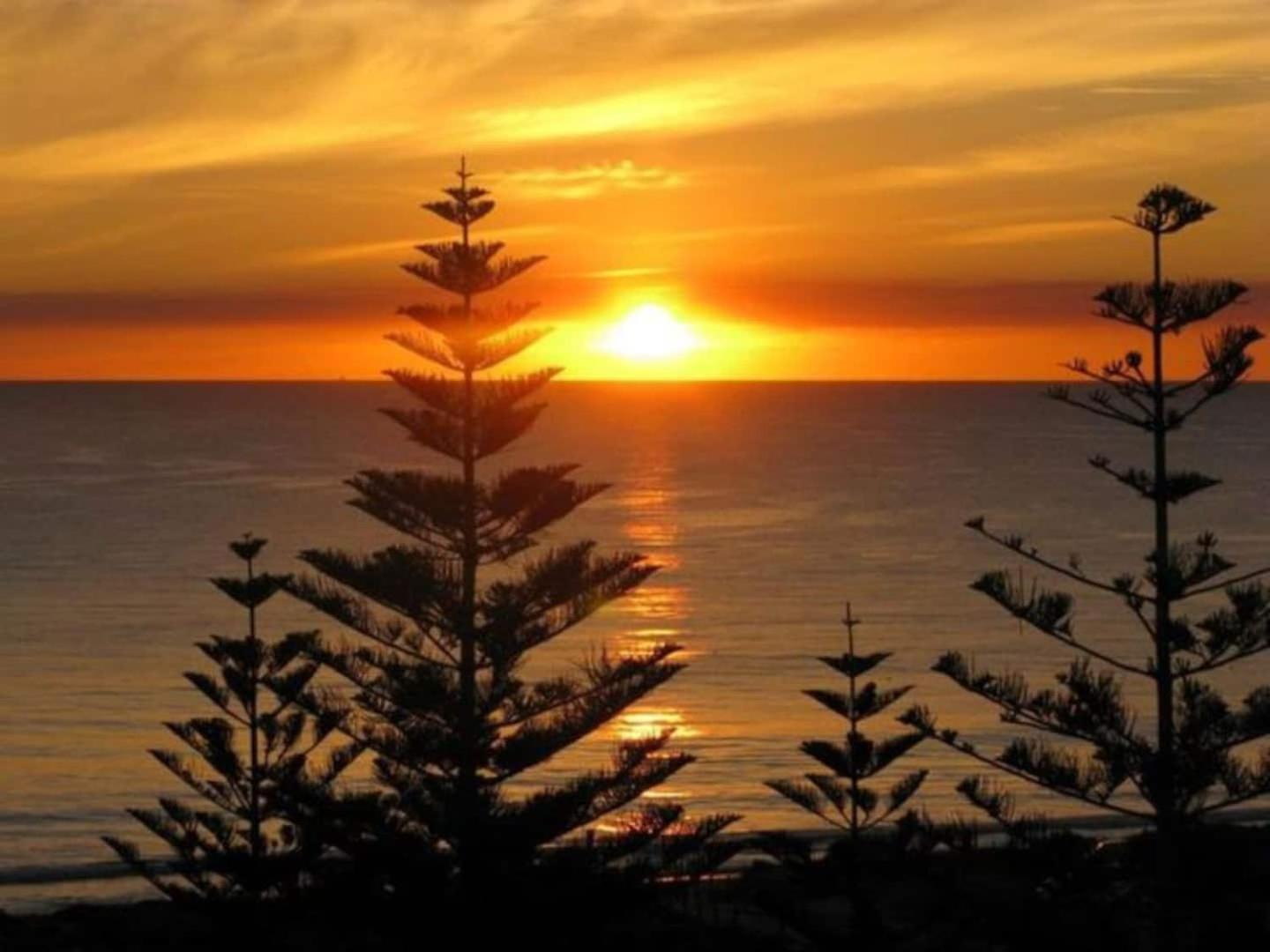 Acacia Holiday Or Business Stay - Quiet Location Perth Extérieur photo